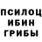 Псилоцибиновые грибы Psilocybine cubensis Augustin Durand