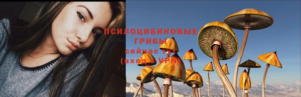 соль ск Дубна