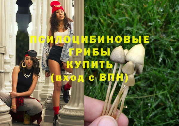 дживик Лагань