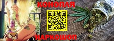 сатива Будённовск