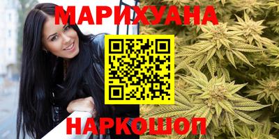 сатива Будённовск