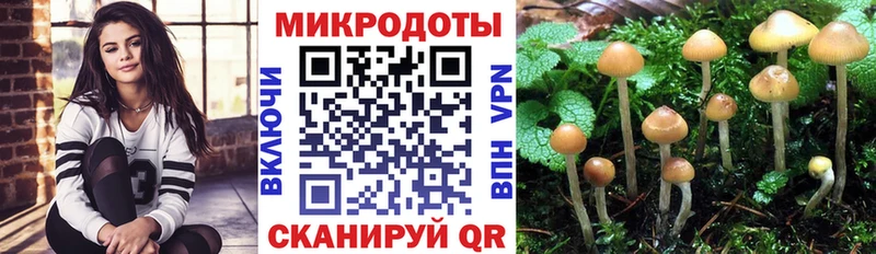 Псилоцибиновые грибы Psilocybe  Мариинск 