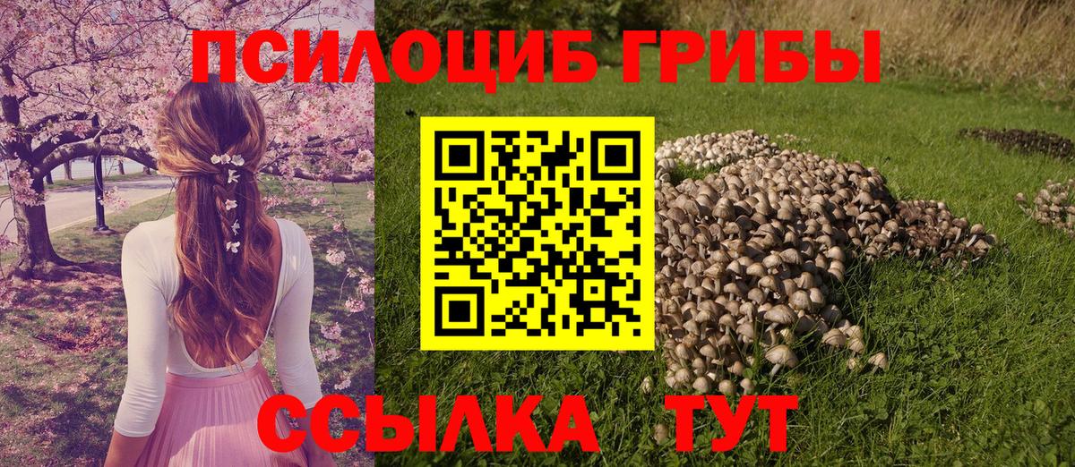 Галлюциногенные грибы Magic Shrooms Мариинск