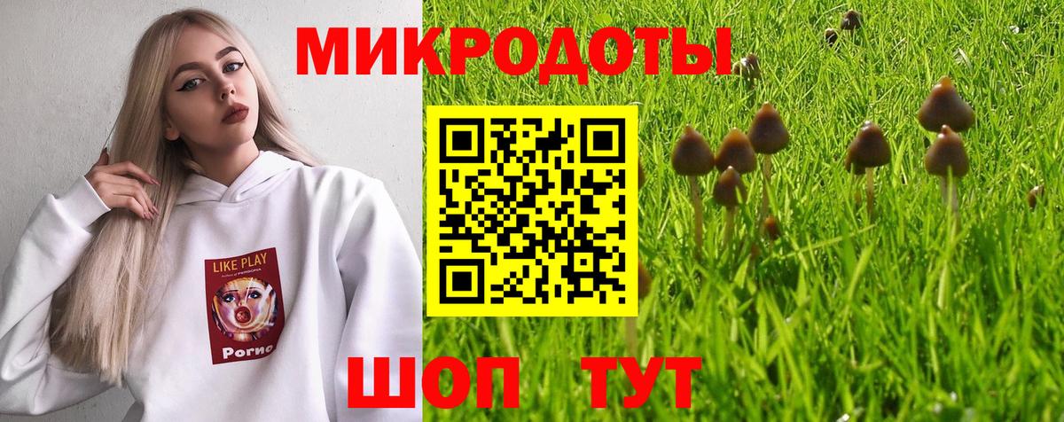 Галлюциногенные грибы GOLDEN TEACHER  Псилоцибиновые грибы GOLDEN TEACHER  купить наркотик  Мариинск 